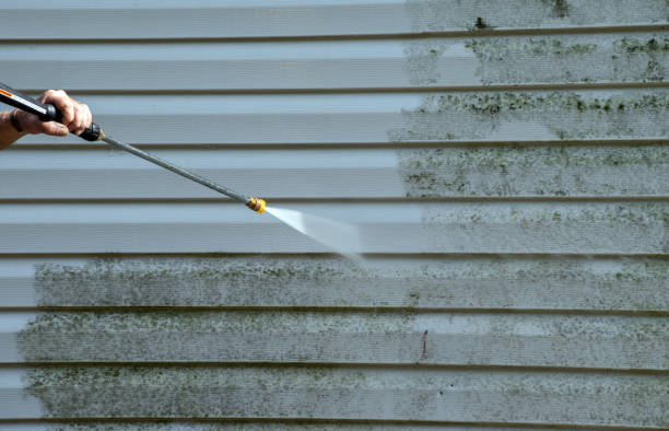 Best Best Pressure Washing Companies  in Greentown, IN