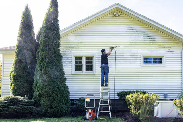 Best Deck Cleaning Services  in Greentown, IN